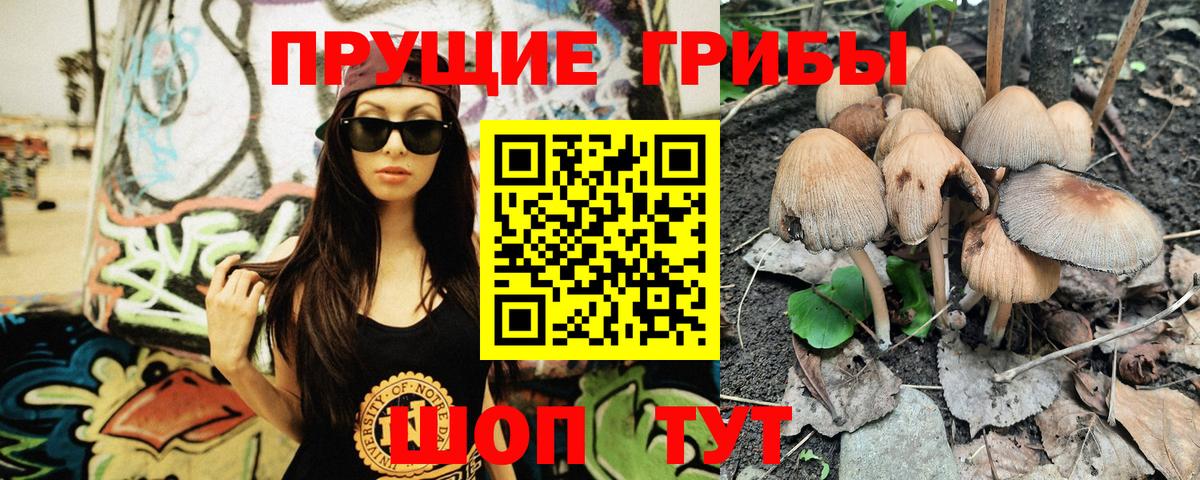 Галлюциногенные грибы Psilocybe  Вход с VPN  Галлюциногенные грибы ЛСД  Нурлат 